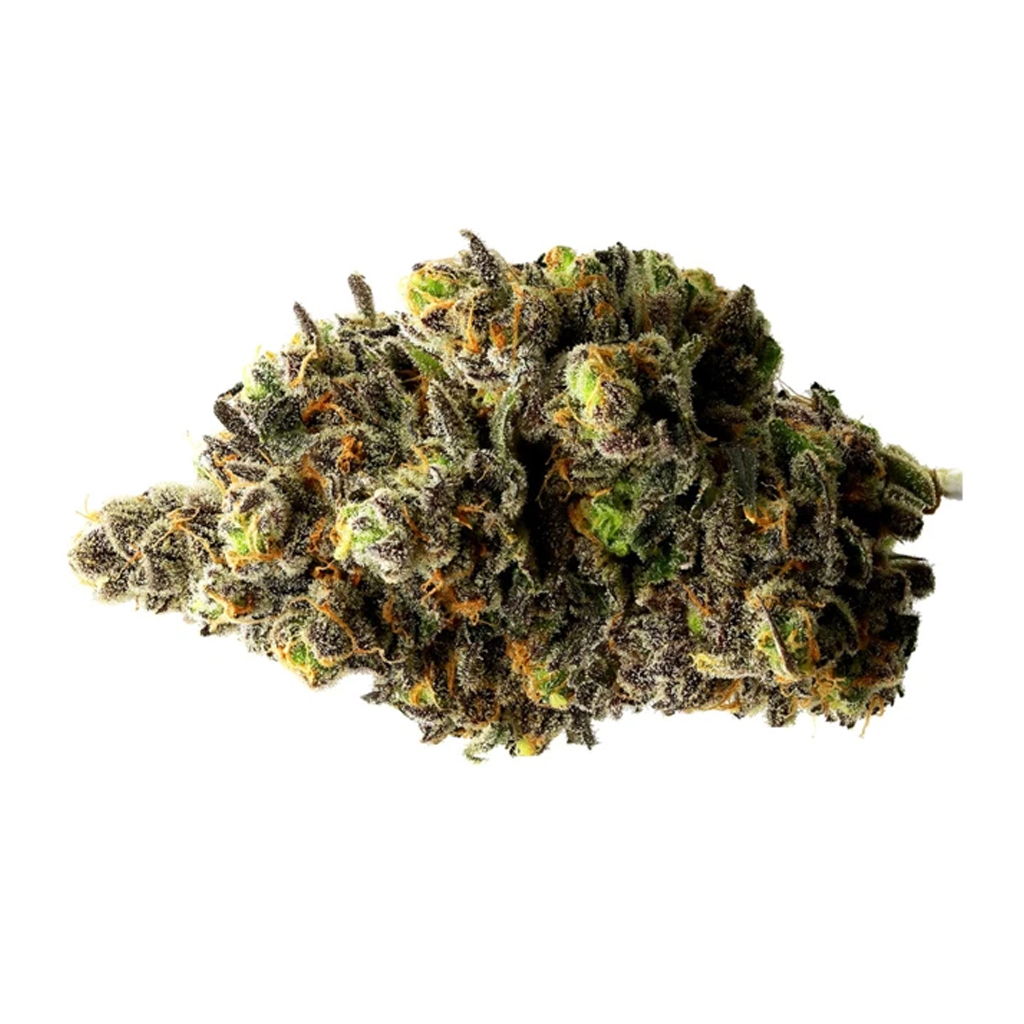 Black Rose Organics - Garlic Sherbert