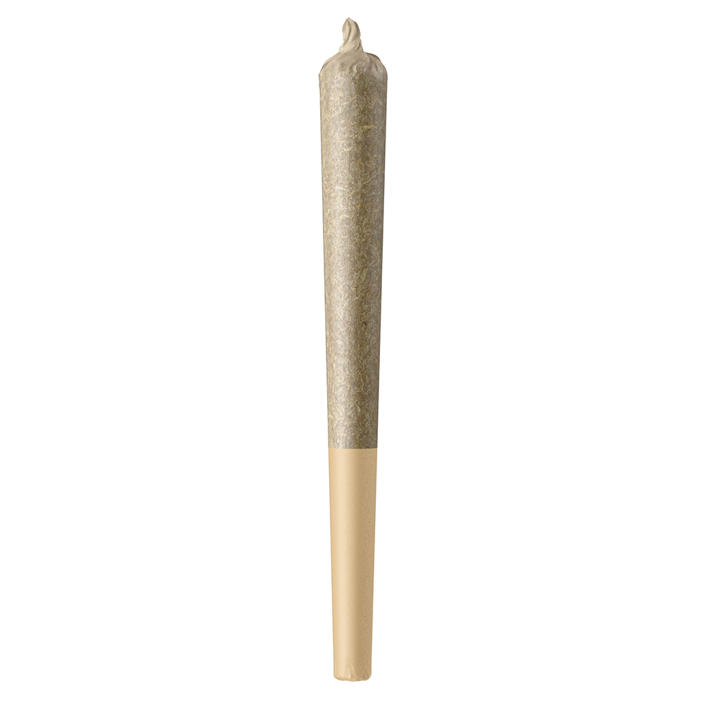 Roll Model - Platinum Cake Pre-Roll - Indica - 1x0.5g