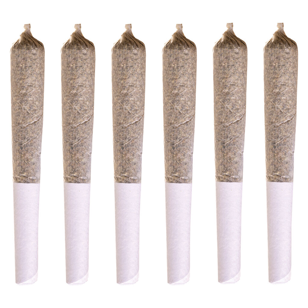 Station House - Jack Herer Pre-Roll - Sativa - 5x0.5g