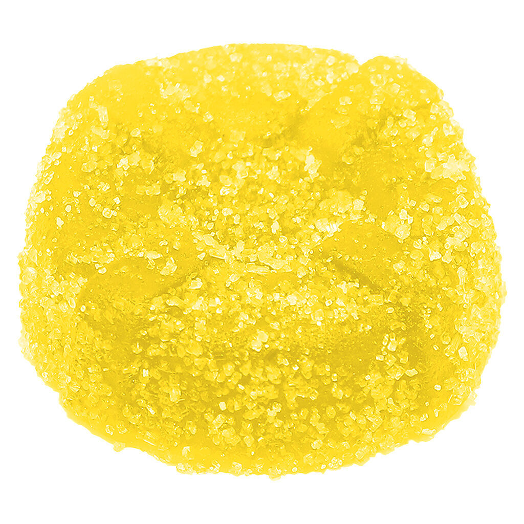 No Future - CBC Bomb - The CBC Yellow One - Hybrid - 1 Pack