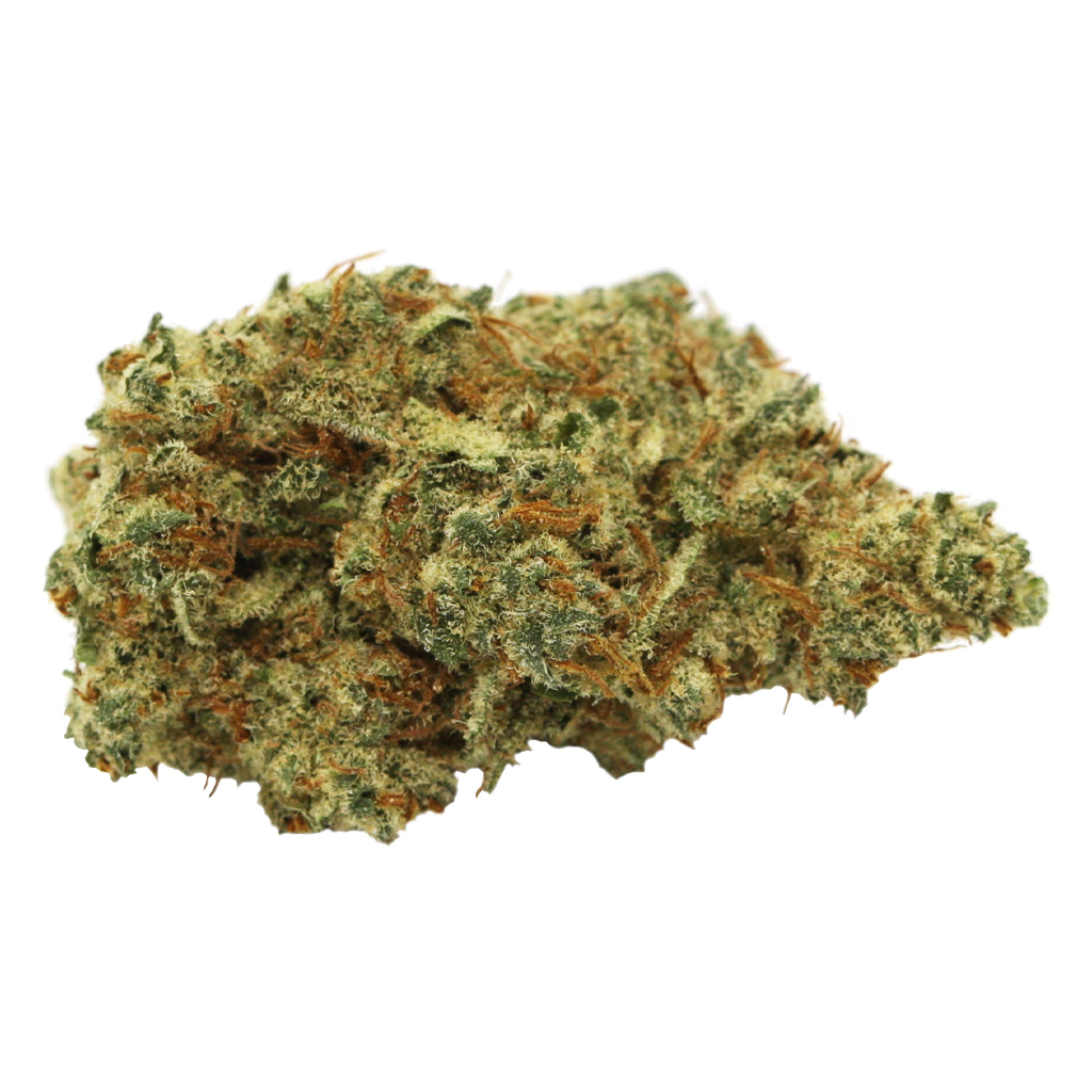 Wildlife - Blackberry Gelato