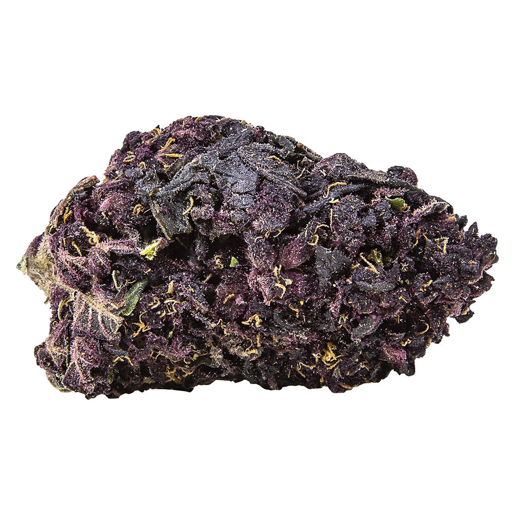 Thrifty - Purple Goat Milk