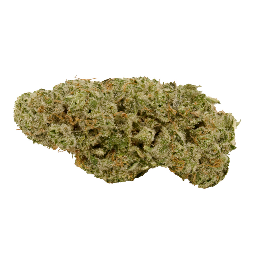 DNA Genetics - DNA Golden Lemons