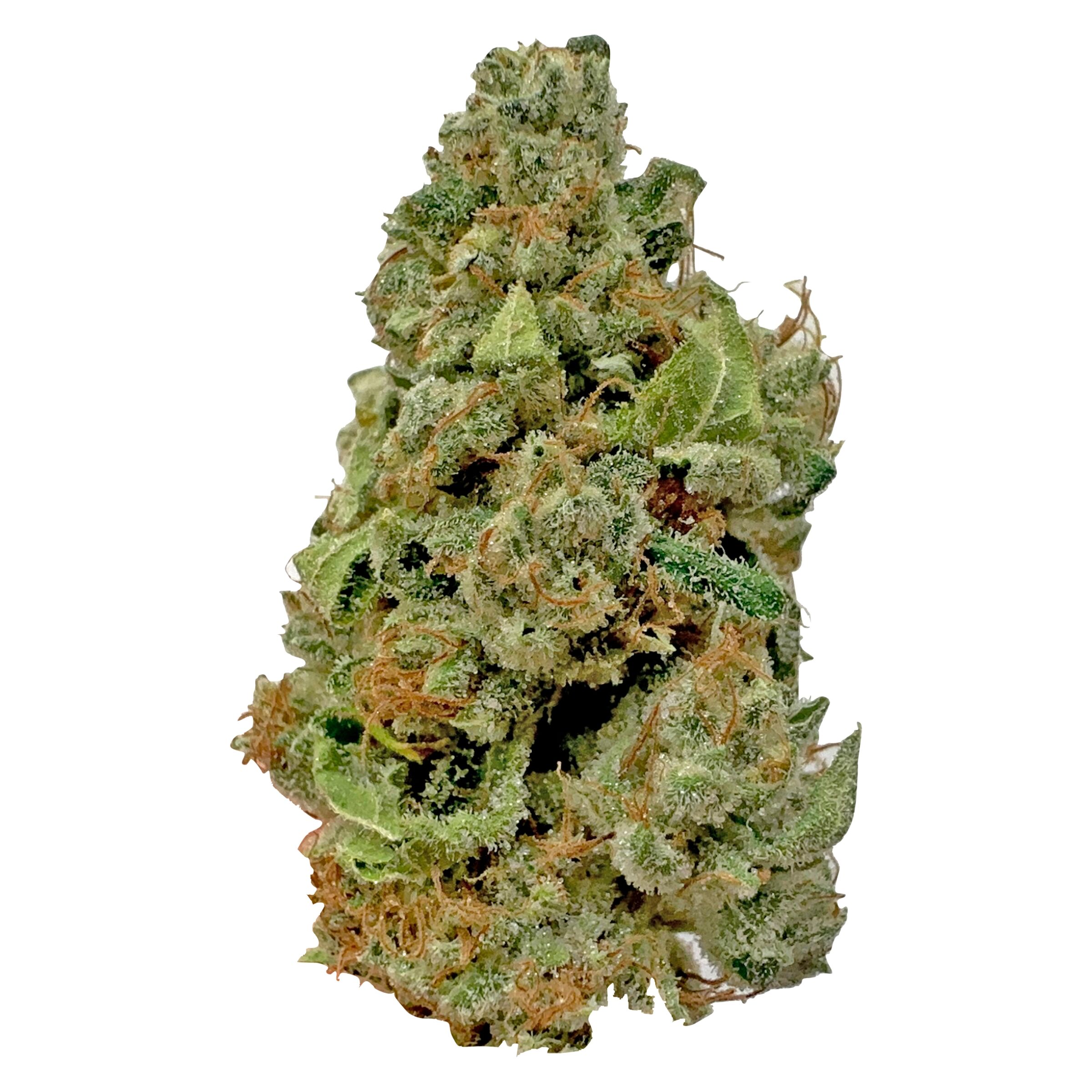 Greenherb - Surprise Bag