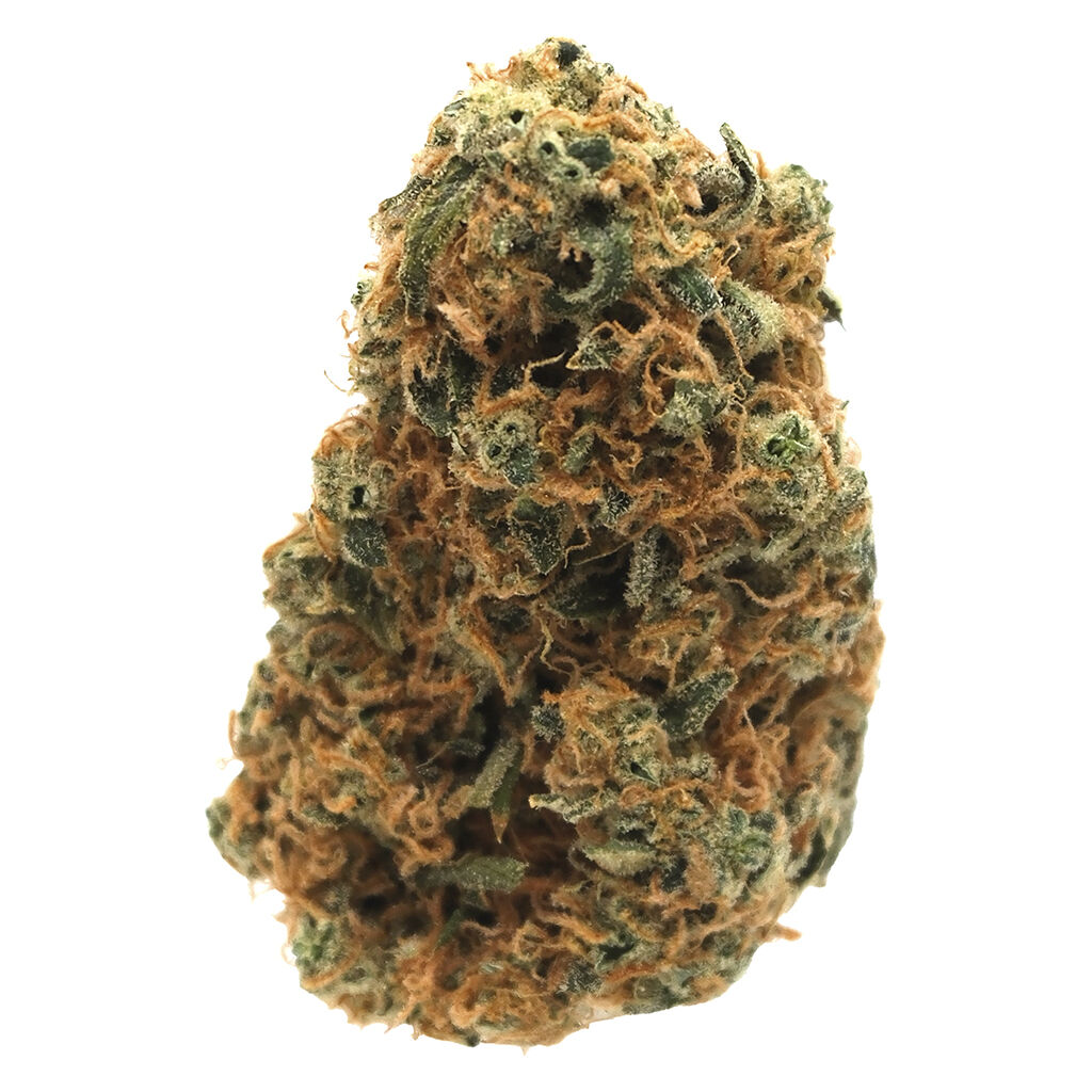The Collection by Origine Nature - Sage N Sour