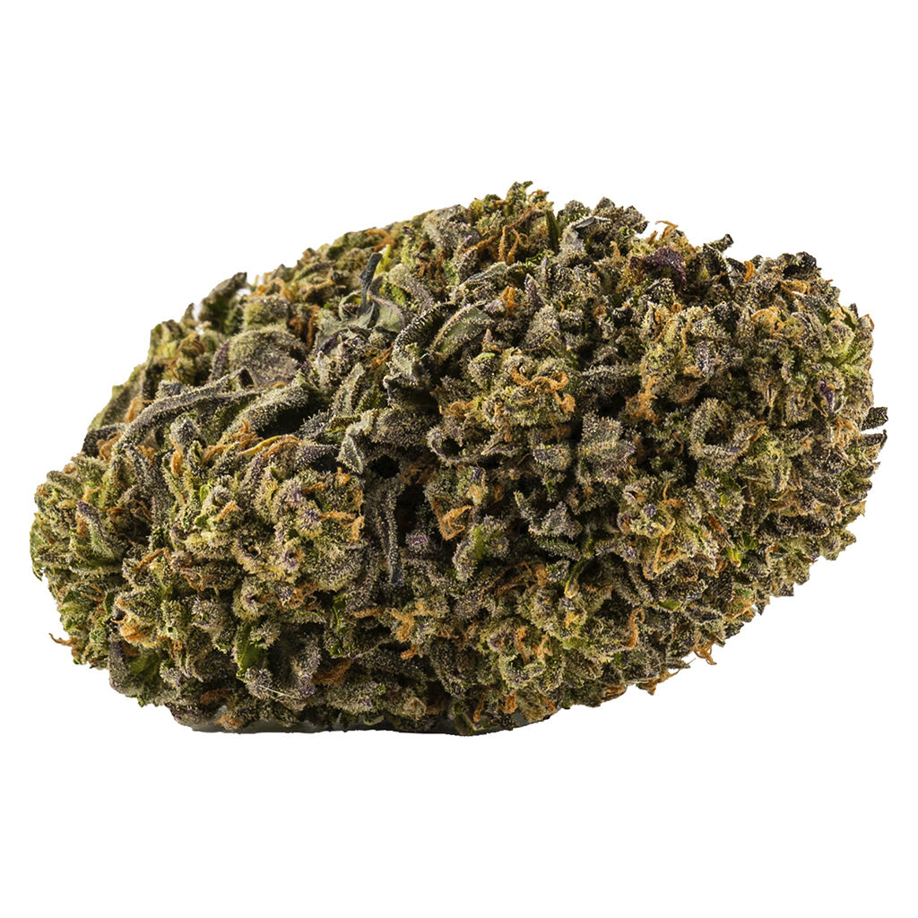 Primo - Chocolate Diesel