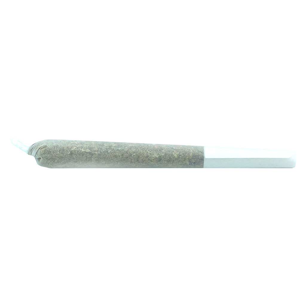 Truro - Truffle Treats Pre-Roll - Hybrid - 1x0.5g