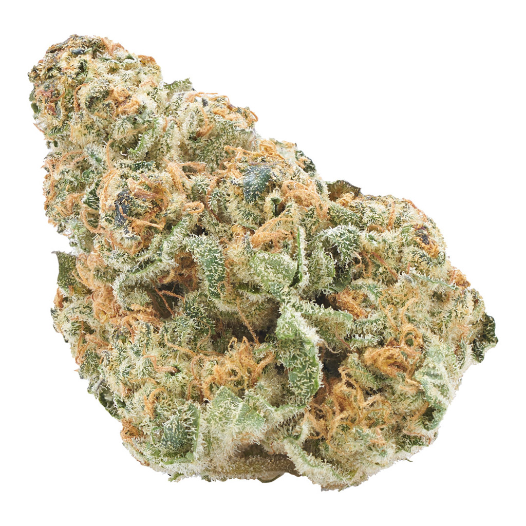 RIFF - Cryo Chronic