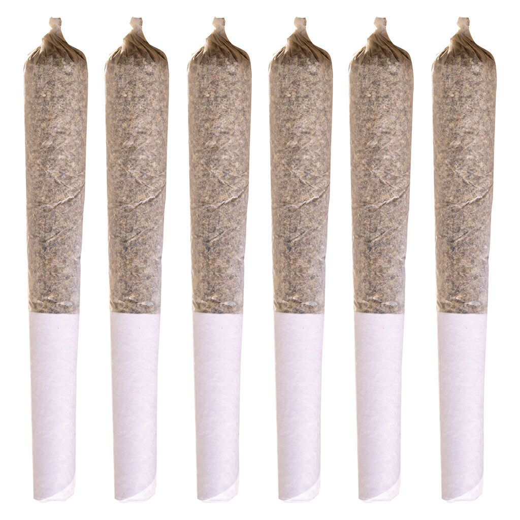 Station House - Coast To Coast Series Pre-Roll - Indica - 5x0.5g