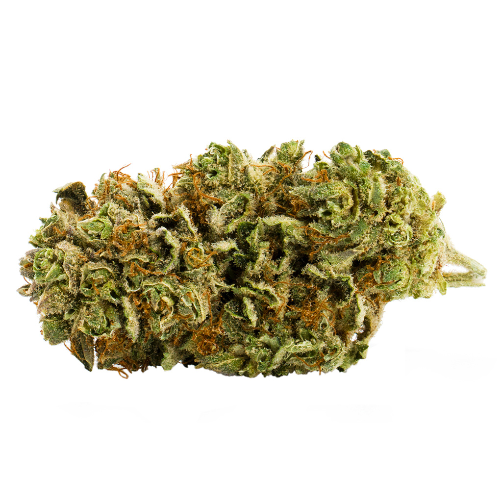 Royal City Cannabis Co. - RC Craft Consortium: Gnomestar