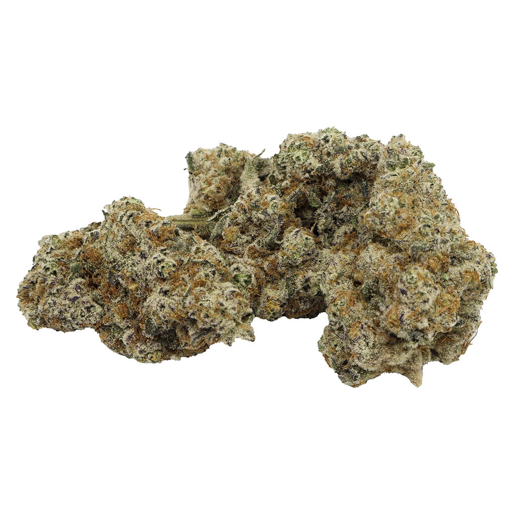 Violet Tourist - Day & Night Superflower Pack