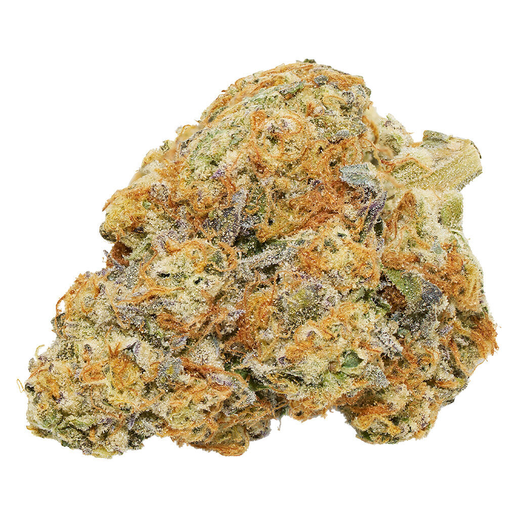 Qwest - Morning Sun Craft Whole Flower