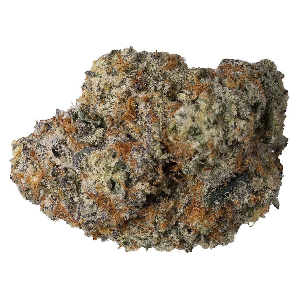Carmel - Billy's Pheno