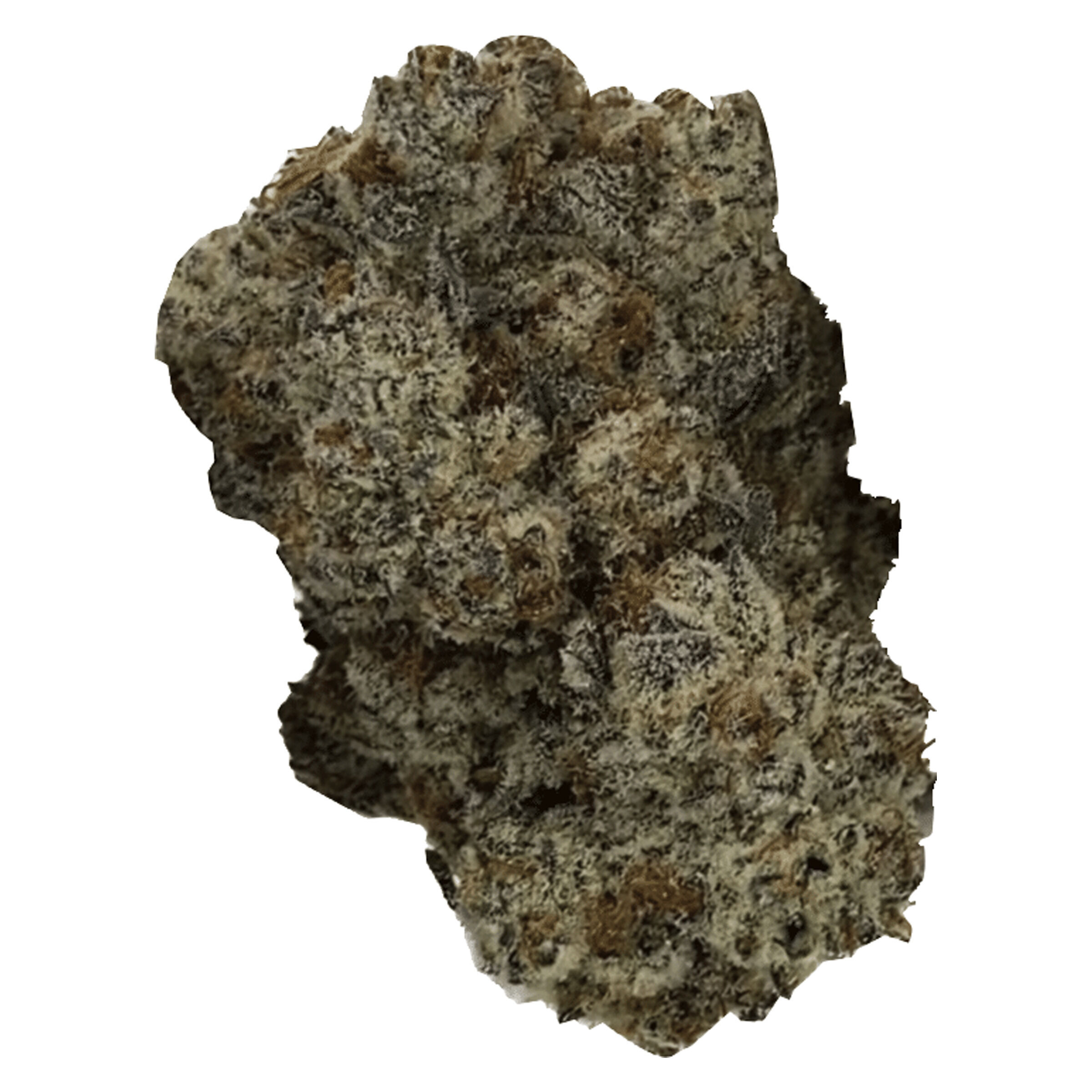 Rocky Mountain Cannabis - London Jealousy