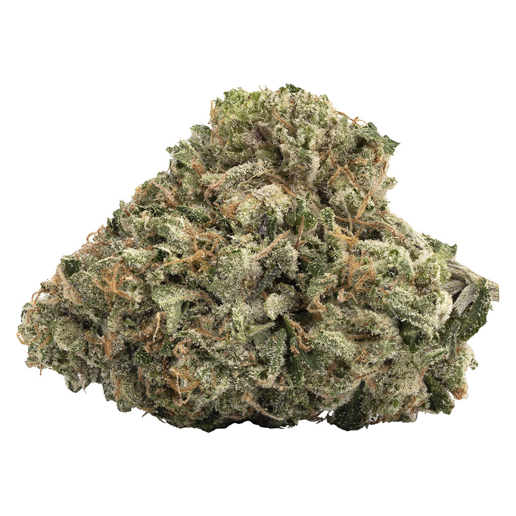 WINK - Gas Nasty (BMS x GMO)