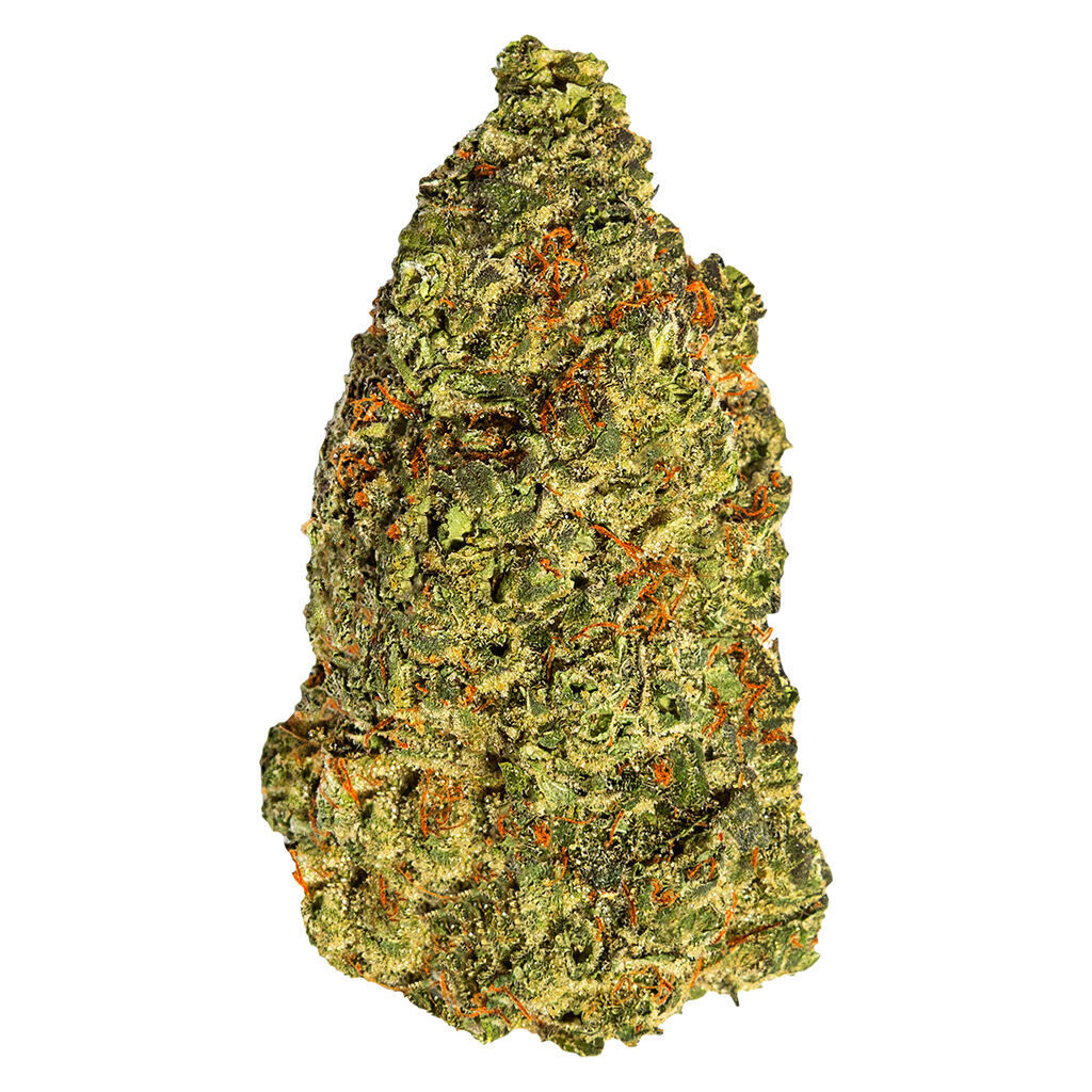South Point - Turbo Diesel