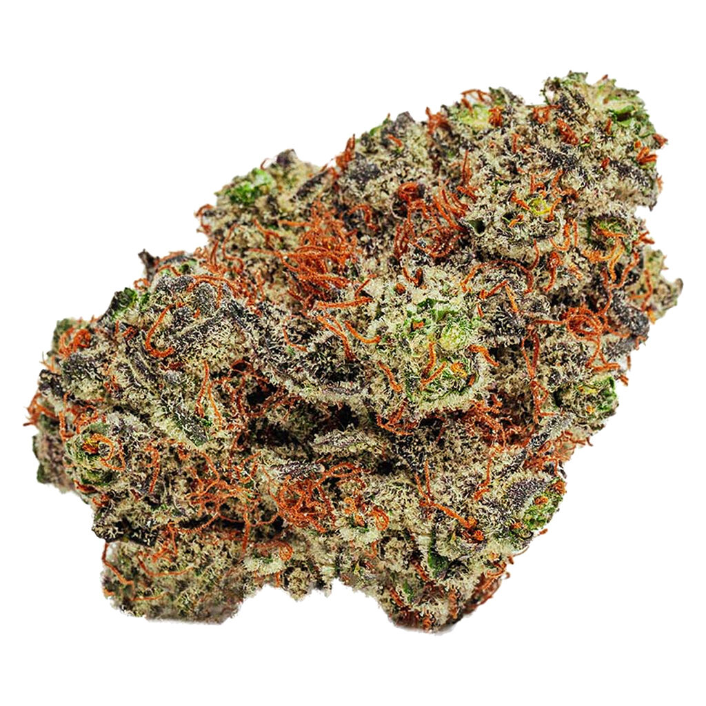 BOLD - MelonHeadz Flower