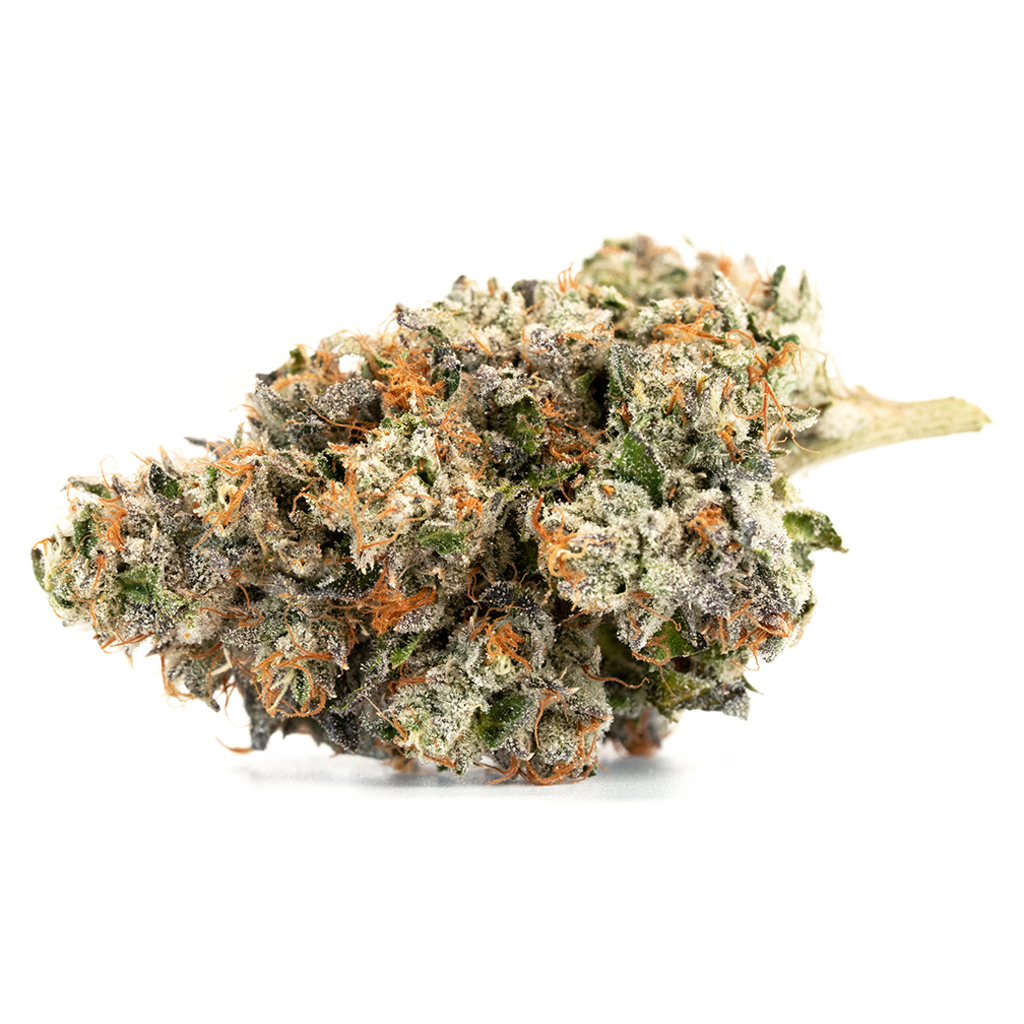 Organnicraft - Nitro Cookies
