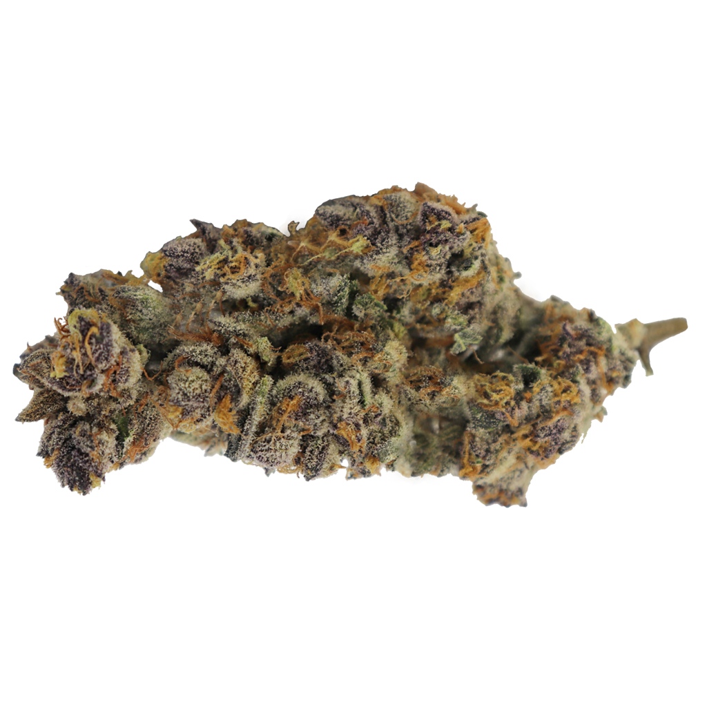 ELIOS RESERVE - Purple Pug