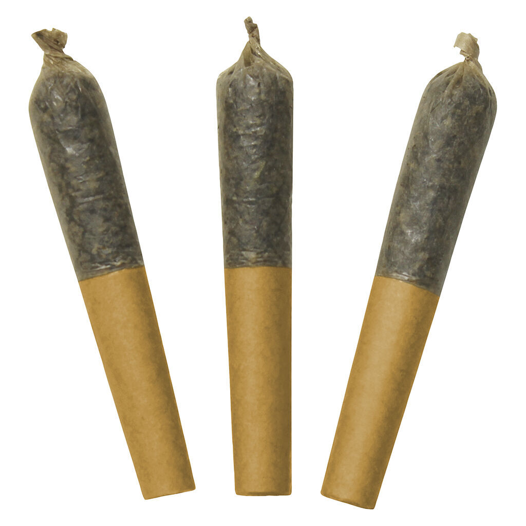 Dab Bods - Hawaiian Plushers 60's+ Dbl Infused Pre-Roll - Hybrid - 3x0.5g