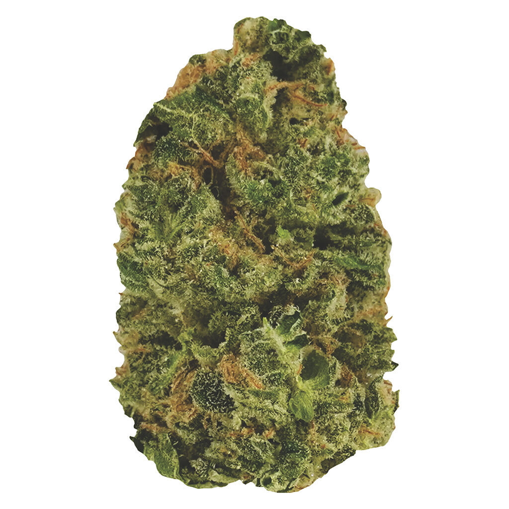 Stoned - Do Si Dos