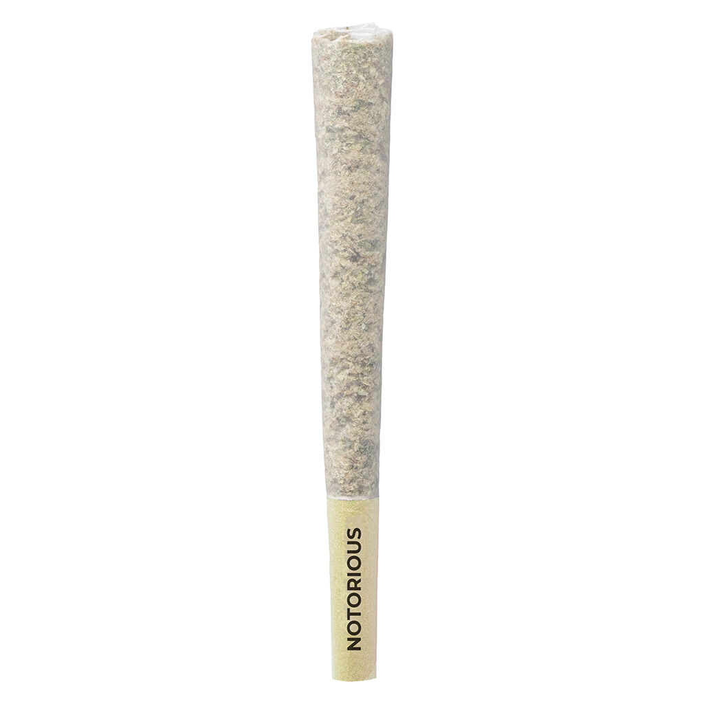 Pistol and Paris - Notorious Pre-Roll - Indica - 3x0.5g