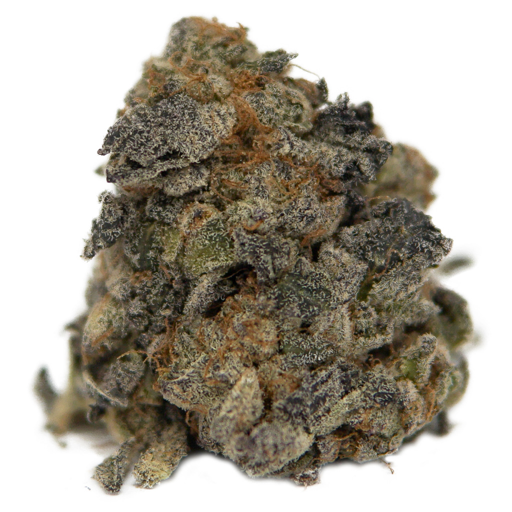 The Wild Florist - Magic Mint