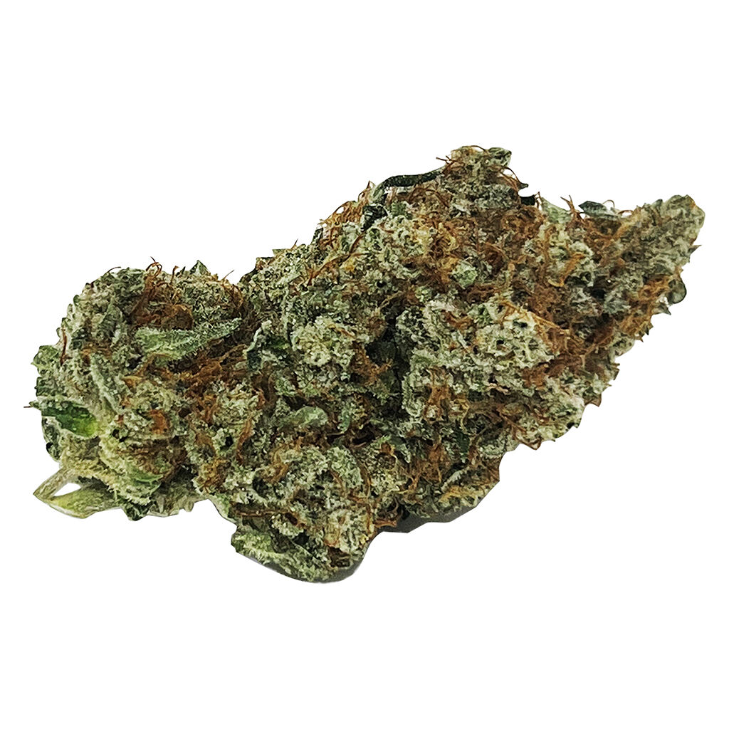CALI - CALI 14.0