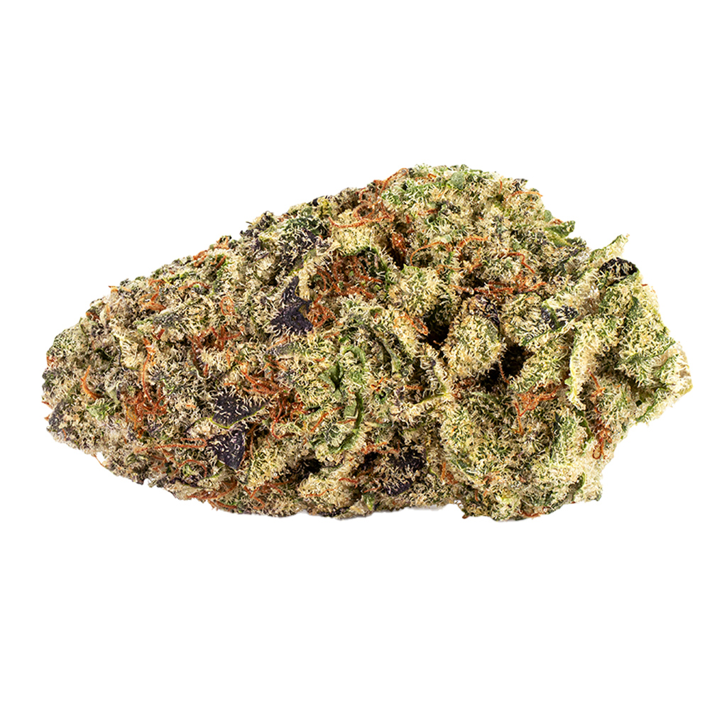 Reef Organic - Queen SanG