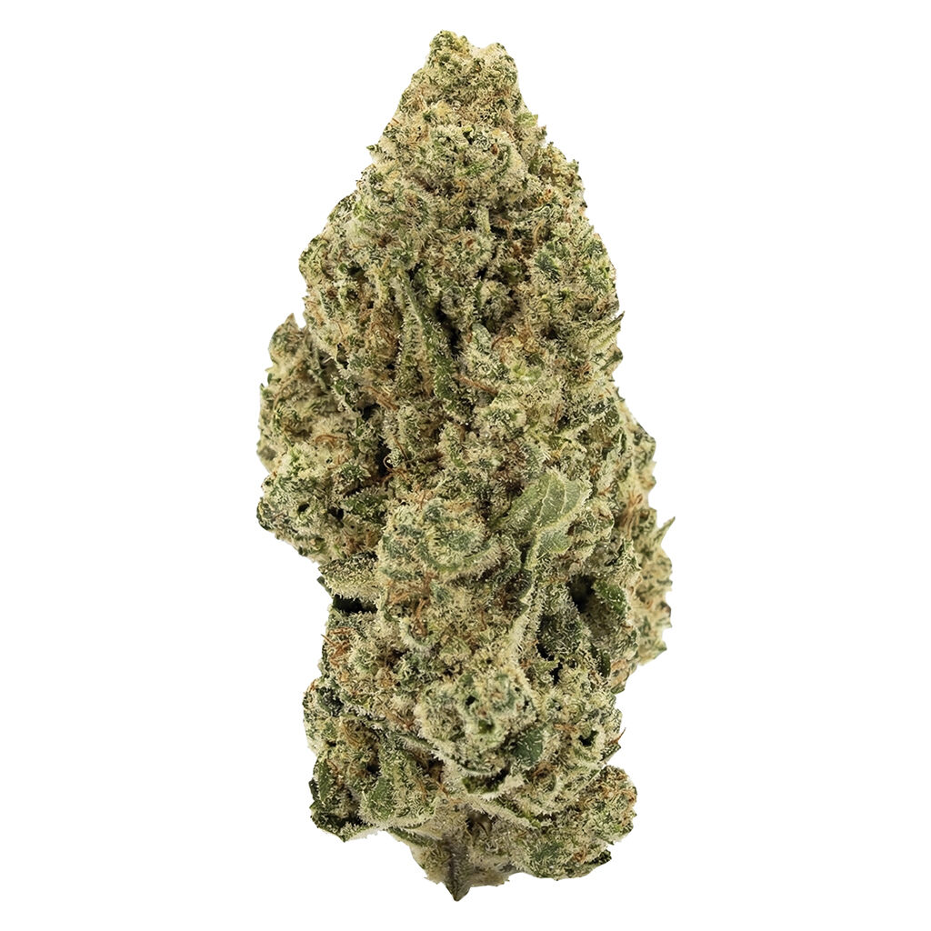 PayLess - Indica