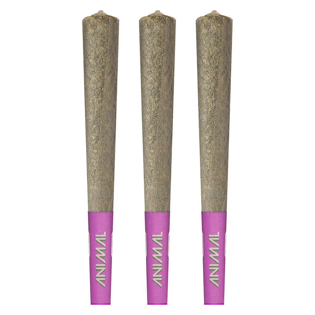 Animal - High Potency Infused Pre-Roll 50+ - Hybrid - 3x0.5g