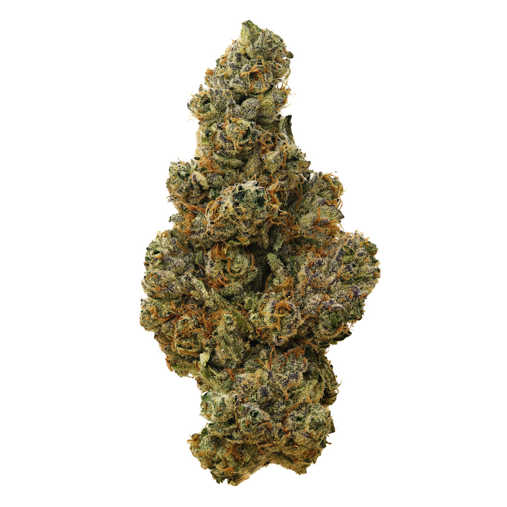 Sweet Weed - Garlic Chem (GMO x Chem91)