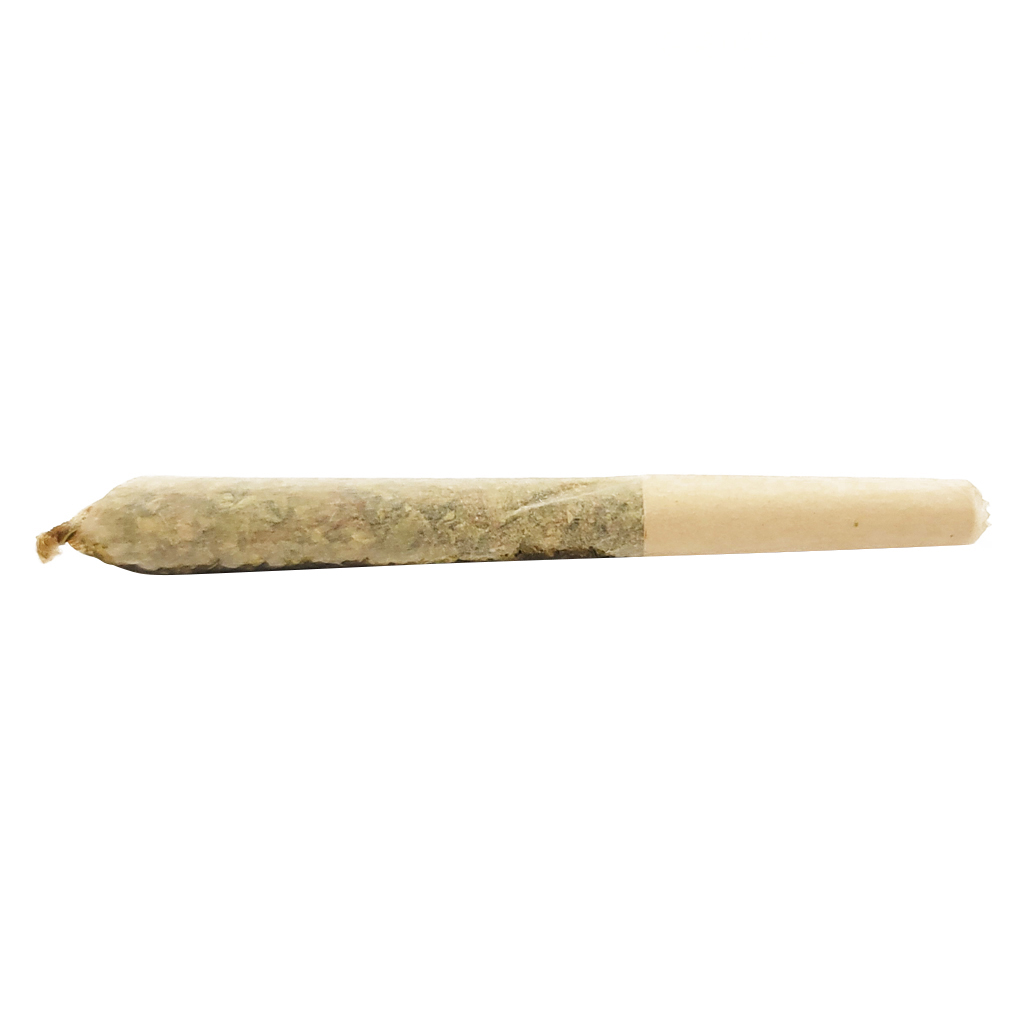 Dab Bods - Apple Spice Resin Infused Pre Roll - Hybrid - 3x0.5g