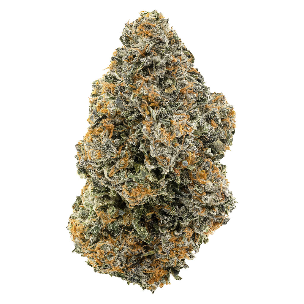 1964 - Organic Gelato #41