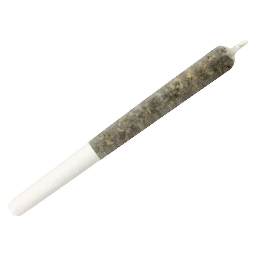 Dime Bag - Sweet Chili Glaze Pocket Rockets Infused Pre-Roll - Hybrid - 1x0.5g