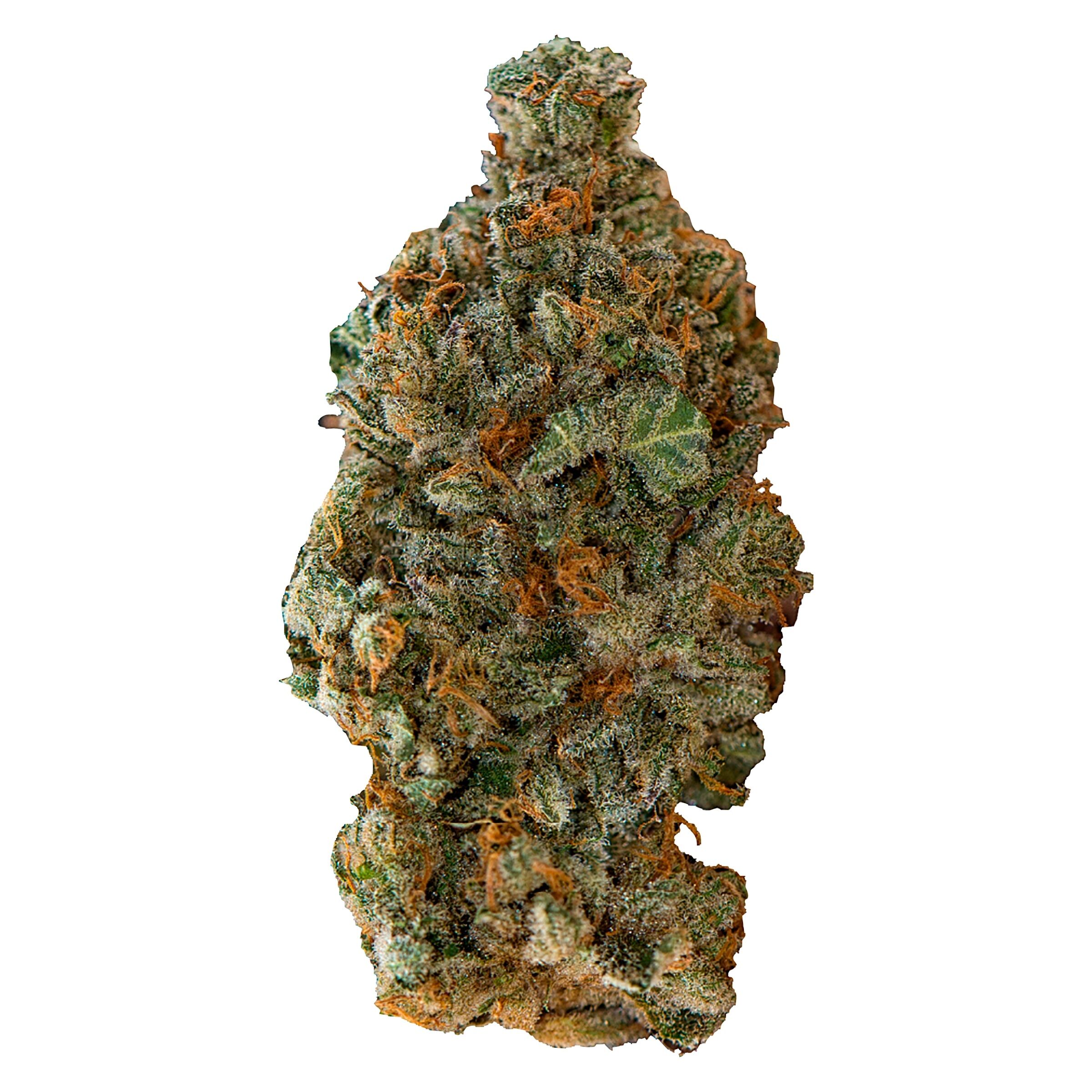 Versus - Girl Scout Cookies