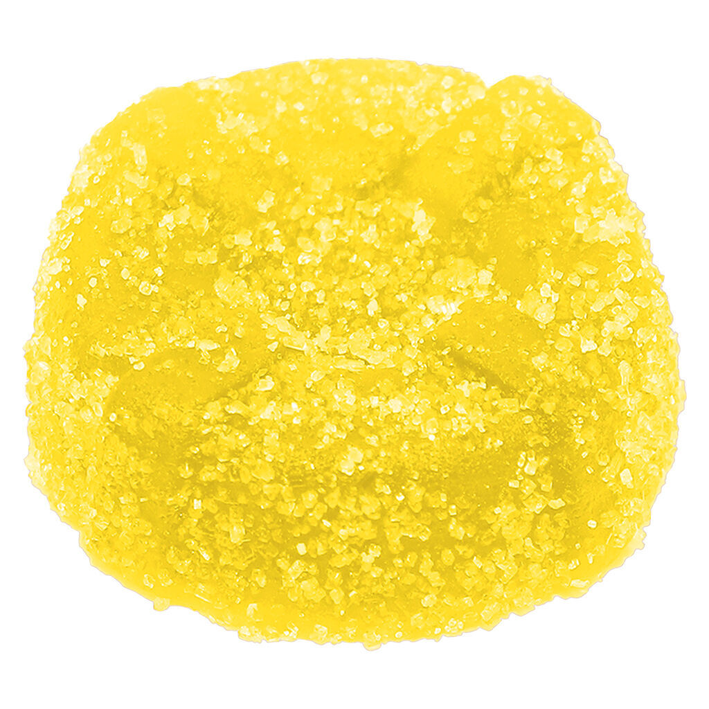 No Future - The Pectin Yellow One - Hybrid - 1 Pack