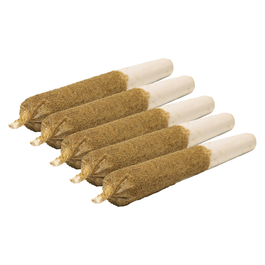 General Admission - Rainbow Sherb Distillate Infused Pre-Roll - Hybrid - 5x0.5g