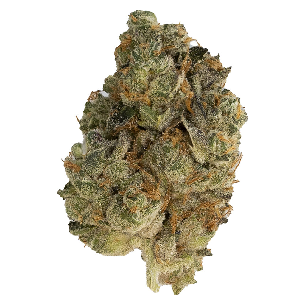 Hot Box - Hot Box - Hybrid