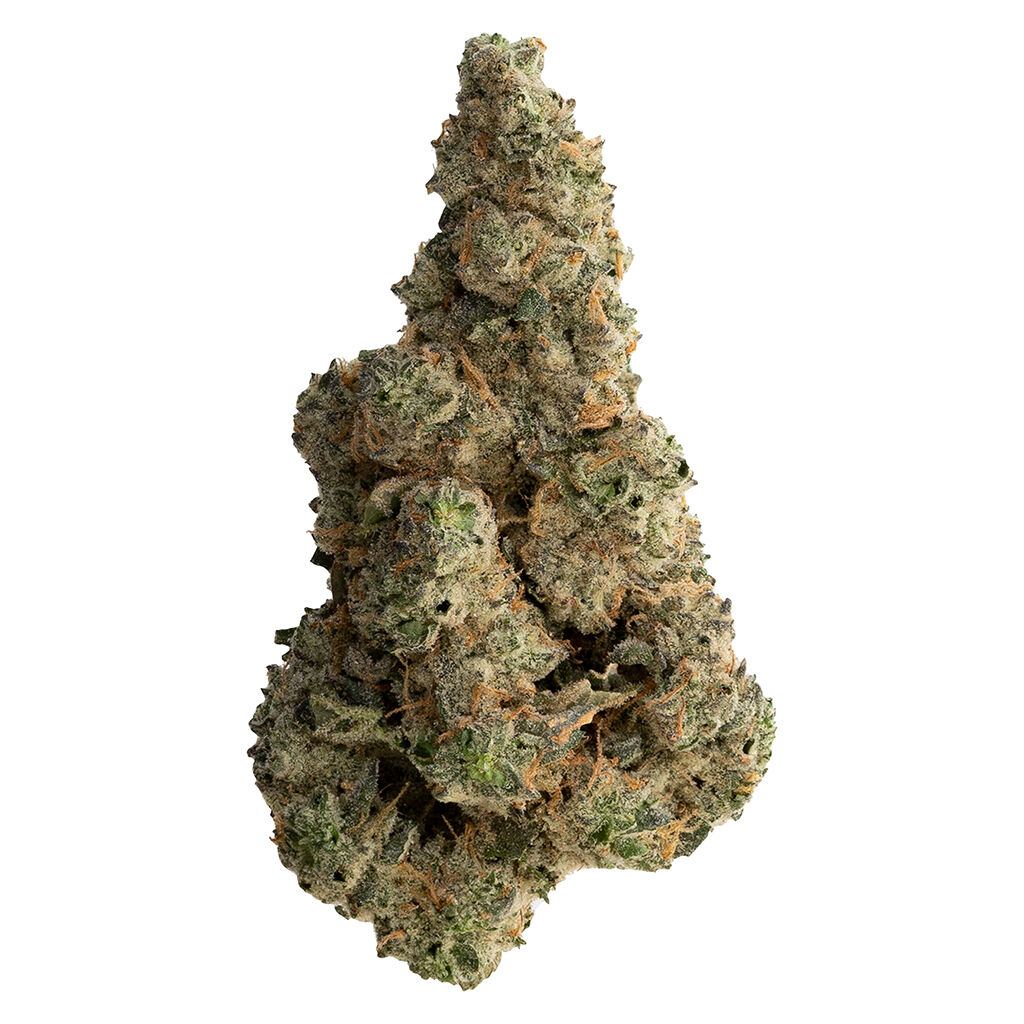 The Loud Plug - With love from Scarborough