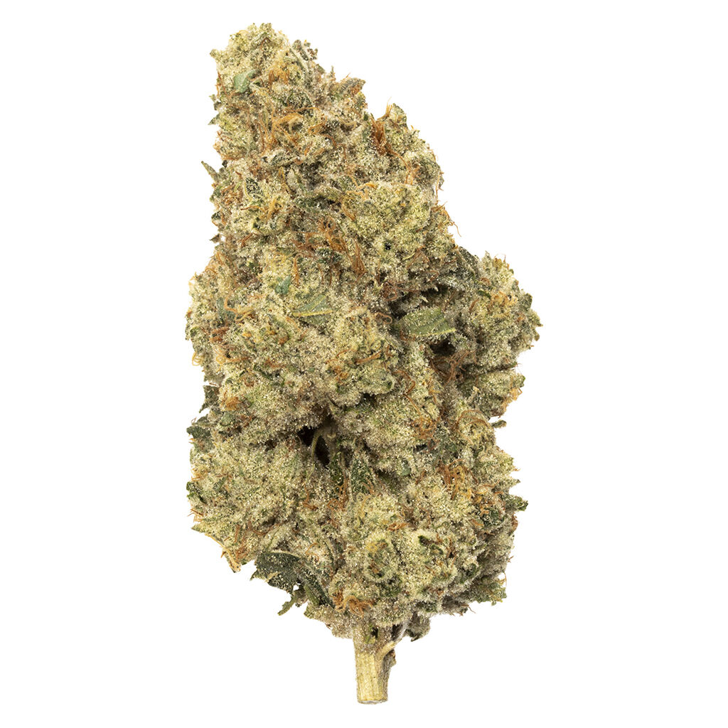 Oddball - Exotics