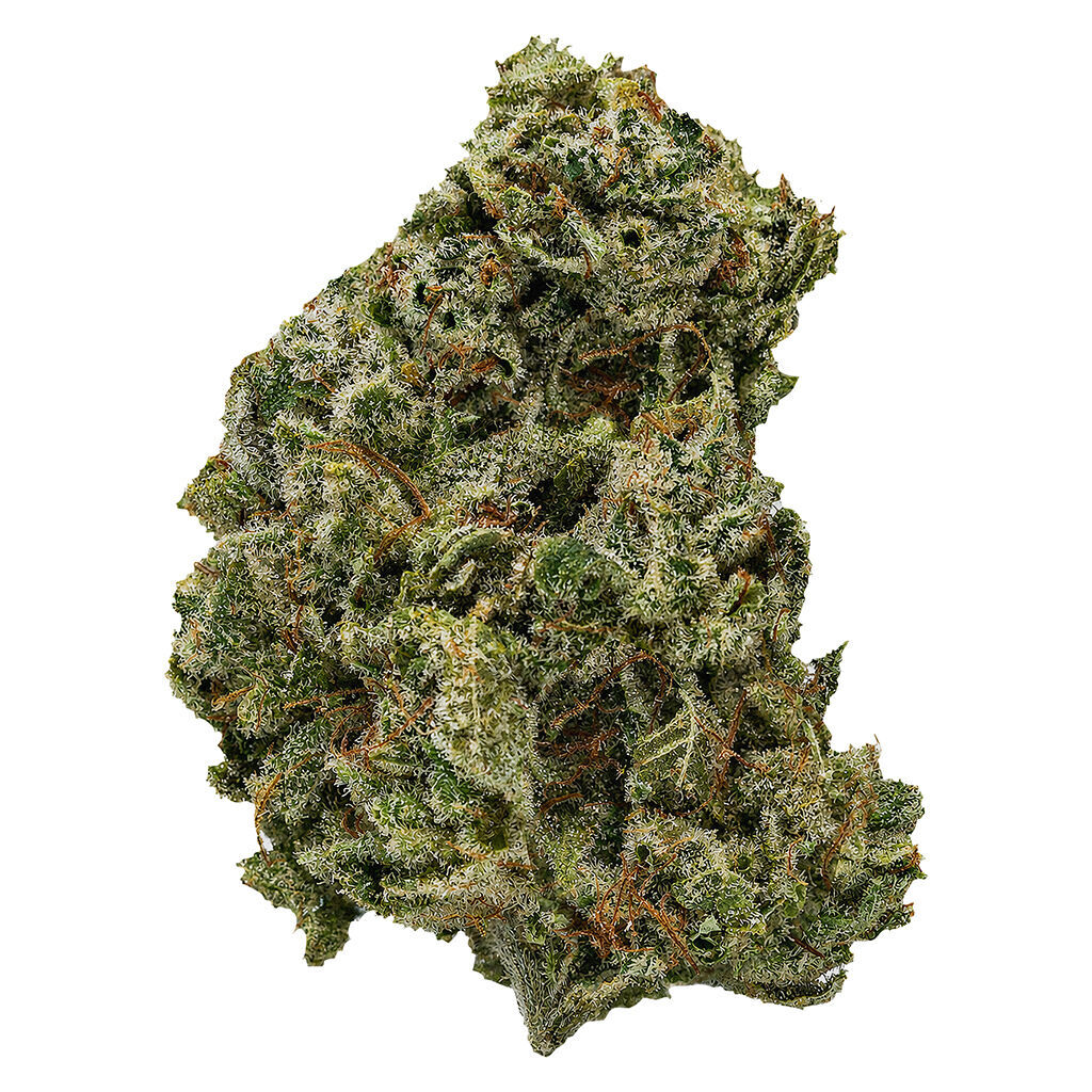 Versus - Sour Dubb