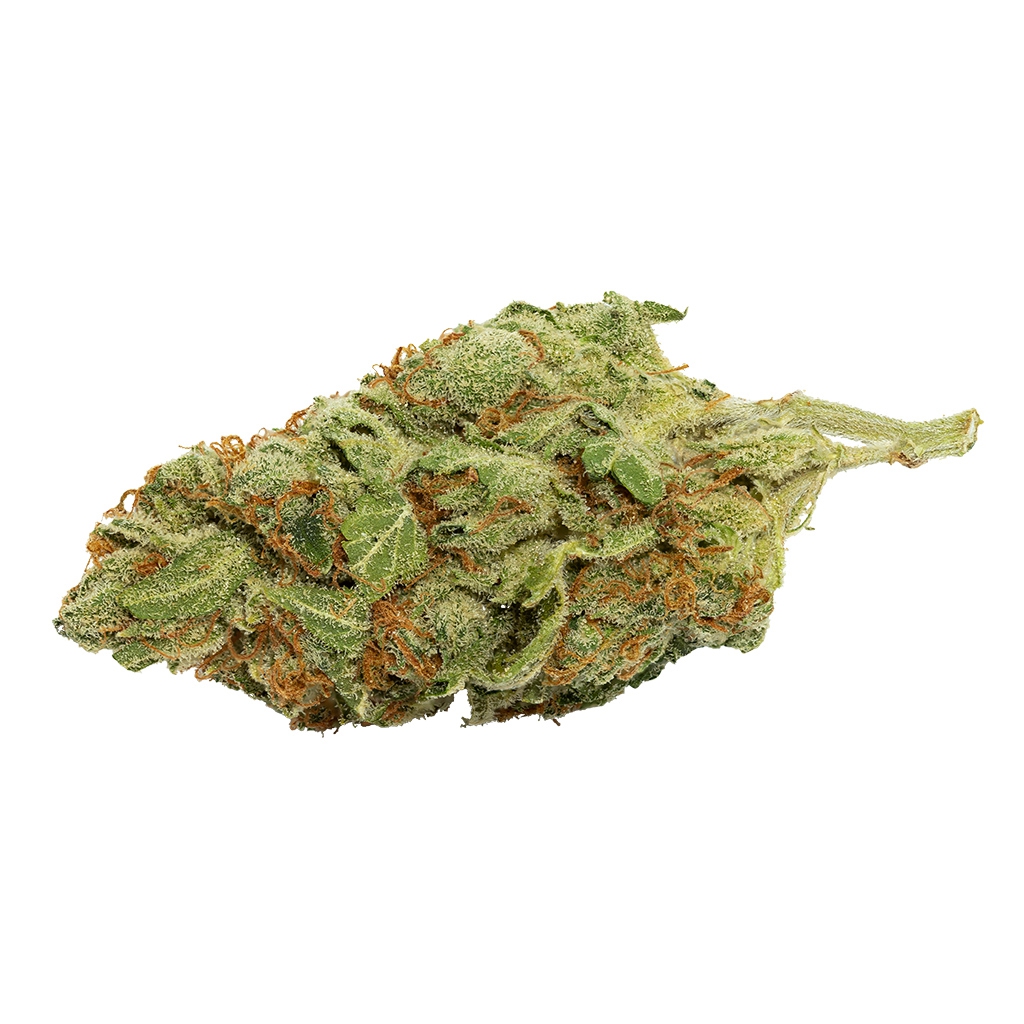 Queen West '94 - OG Kush