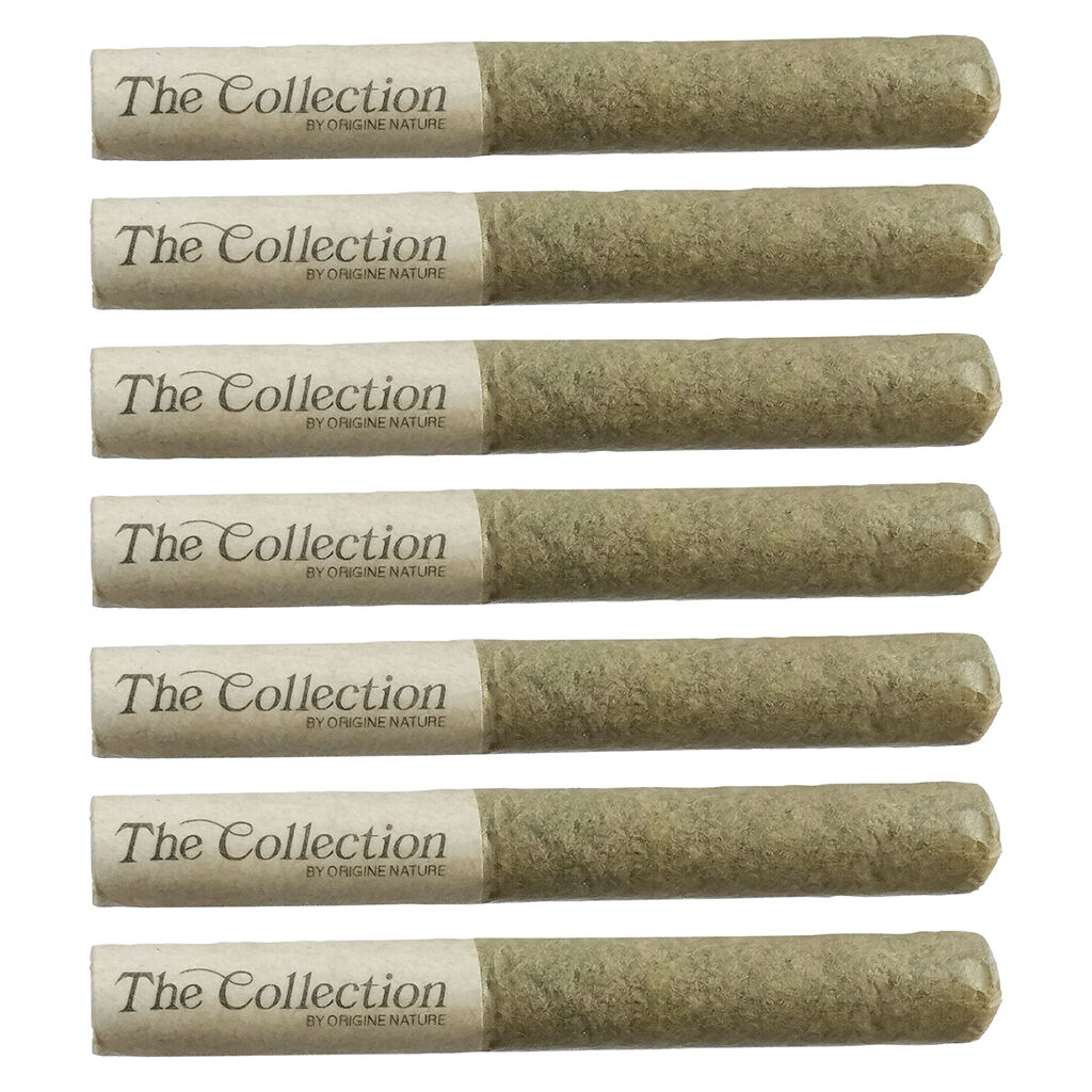 The Collection by Origine Nature - Clockwork Orange Pre-Roll - Sativa - 7x0.5g