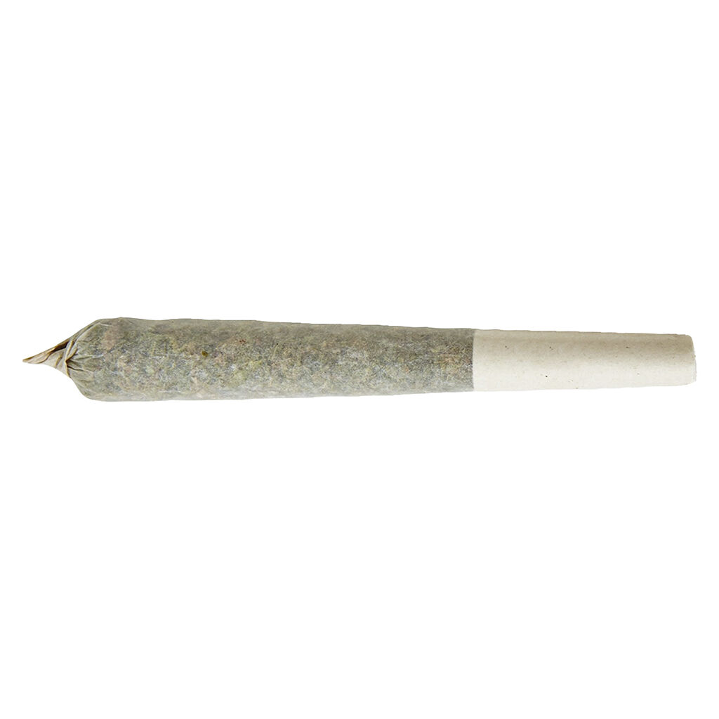 XPLOR - Sativa Pre-roll - Xplor - Sativa Pre-roll - 1x1g