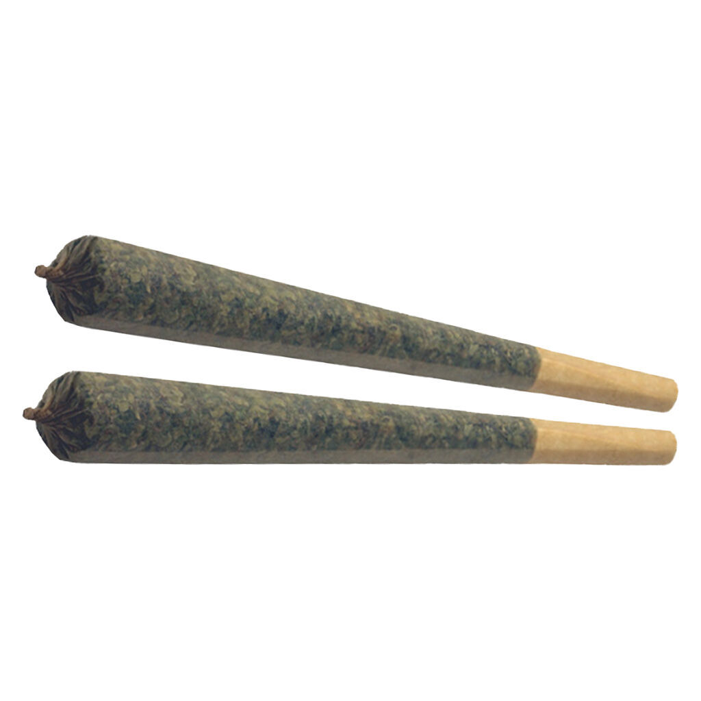 Starting Point! - Star Chase - Sativa - 2x1g