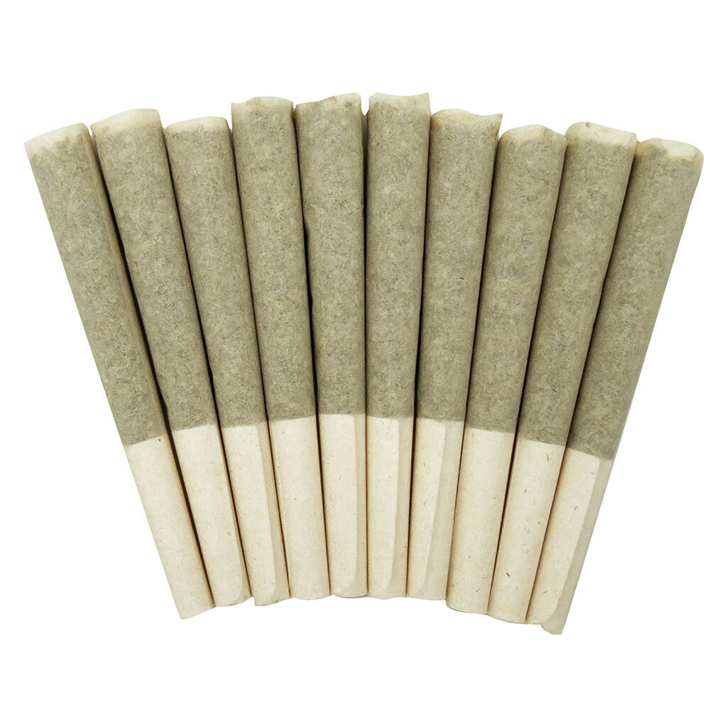 SKOSHA - Storm Indica Pre-Roll - Skosha - Storm Indica Pre-Roll - 10x0.5g