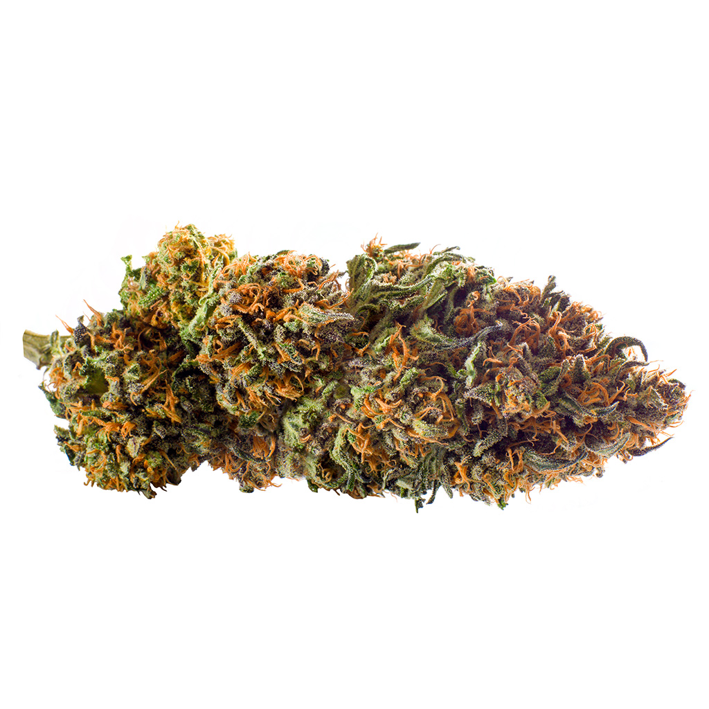 Redecan - Wappa Crowns
