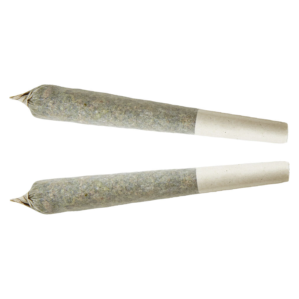 XPLOR - Indica Pre-roll - Xplor - Indica Pre-roll - 1x1g