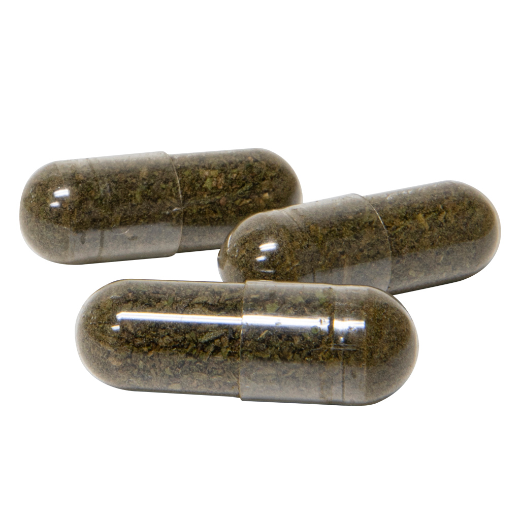 WholeHemp - CBDA Capsules - Hybrid - 15 caps